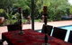 Tantarra Bed And Breakfast - thumb 9