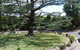 Tantarra Bed And Breakfast - thumb 14