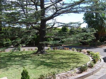 Tantarra Bed And Breakfast - Nambucca Heads Accommodation 14