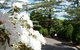 Tantarra Bed And Breakfast - thumb 15