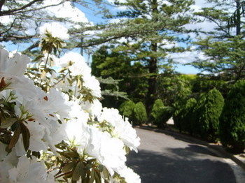 Tantarra Bed And Breakfast - Nambucca Heads Accommodation 15