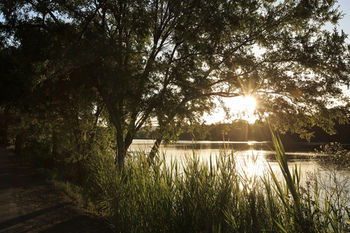 Ingenia Holidays Nepean River - Nambucca Heads Accommodation 41