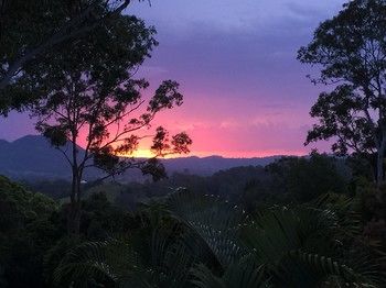 Phoenix Eumundi Bed & Breakfast - Nambucca Heads Accommodation 17
