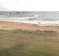 Penguin Caravan Park - Nambucca Heads Accommodation