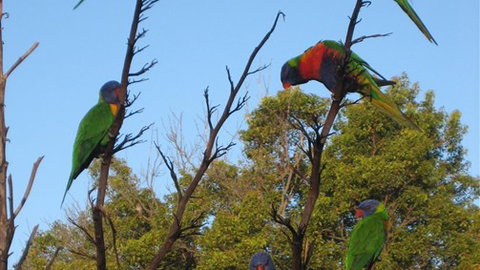 Captains Lodge International - Nambucca Heads Accommodation 2