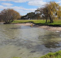 Kangaroo Lake Caravan Park - Nambucca Heads Accommodation