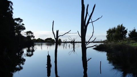 A Fare With Nature @ Prom Road Farm - Nambucca Heads Accommodation 6