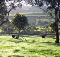 Bellevue Farmstay - Nambucca Heads Accommodation