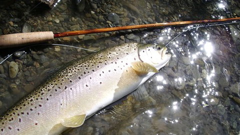 Riverview Lodge - Nambucca Heads Accommodation 3