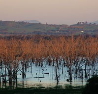 Salisbury - Nambucca Heads Accommodation