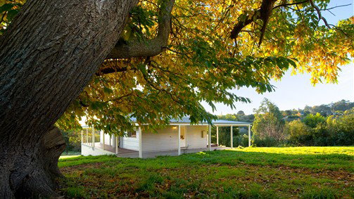 Basalt VIC Nambucca Heads Accommodation