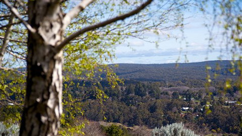 Hilltop Cottage - Daylesford - Nambucca Heads Accommodation 5