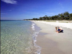 Amalfi Resort - Nambucca Heads Accommodation 4