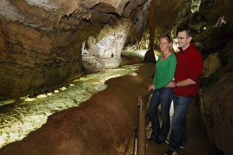 Buchan Caves Reserve - Nambucca Heads Accommodation 2