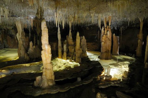 Buchan Caves Reserve - Nambucca Heads Accommodation 3