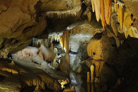 Buchan Caves Reserve - Nambucca Heads Accommodation 4