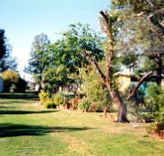Condamine River Caravan Park - Nambucca Heads Accommodation