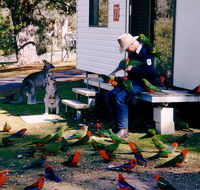 Inland Waters Holiday Parks Burrinjuck - Nambucca Heads Accommodation