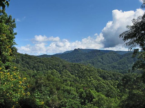 Kallora Escape Bed & Breakfast - Nambucca Heads Accommodation 5