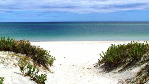 Boomeri Campground - Nambucca Heads Accommodation 1