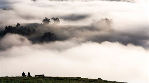 Balingup Heights Hilltop Forest Cottages - Nambucca Heads Accommodation 9