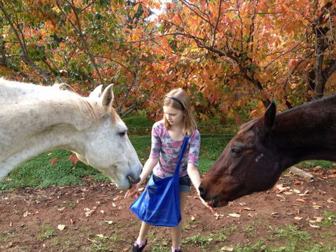 Balingup Heights Hilltop Forest Cottages - Nambucca Heads Accommodation 10