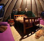 Aranyani Bison Adventure Tourist Park - Nambucca Heads Accommodation
