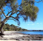 Currarong Beachside Holiday Park - Nambucca Heads Accommodation