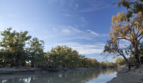 Darling River Campground - Nambucca Heads Accommodation 0