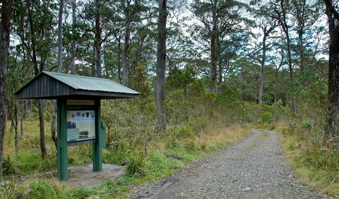 Devils Hole Campground And Picnic Area - Nambucca Heads Accommodation 1