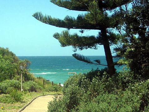 Seashells Beachfront Resort - Nambucca Heads Accommodation 0