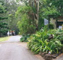 Tamborine Mountain Caravan  Camping - Nambucca Heads Accommodation