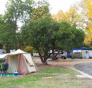Wedderburn Pioneer Caravan Park - Nambucca Heads Accommodation