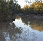 Four Mile Camping Reserve - Nambucca Heads Accommodation