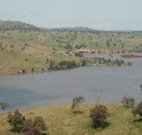 Hume Park Tourist Resort - Nambucca Heads Accommodation