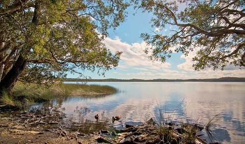 Johnsons Beach Campground - Nambucca Heads Accommodation 1