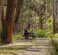 Koreelah Creek campground - Nambucca Heads Accommodation