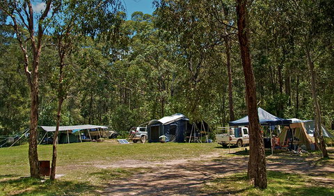 Korsmans Landing Campground - Nambucca Heads Accommodation 1