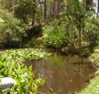 Tallowood Ridge B and B - Nambucca Heads Accommodation