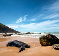 Yagon Campground - Nambucca Heads Accommodation