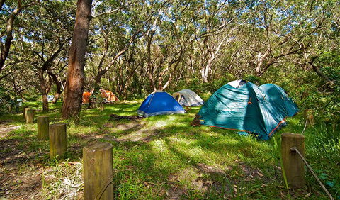 Yagon Campground - Nambucca Heads Accommodation 2