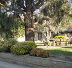 Hamilton Hume Motor Inn - Yass - Nambucca Heads Accommodation