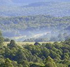 Nowendoc Country Motel - Nowendoc - Nambucca Heads Accommodation