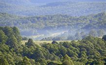 Nowendoc Country Motel - Nowendoc - Nambucca Heads Accommodation 0