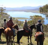 Reynella Homestead and Horseback Rides - Nambucca Heads Accommodation