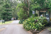 Tamborine Mountain Caravan & Camping - Nambucca Heads Accommodation 0