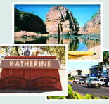 Red Gum Tourist Park - Nambucca Heads Accommodation