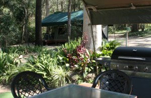 Tamborine Mountain Caravan & Camping - Nambucca Heads Accommodation 2