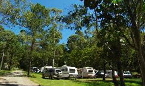 Tamborine Mountain Caravan & Camping - Nambucca Heads Accommodation 3