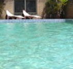 Toreador Motel - Coffs Harbour